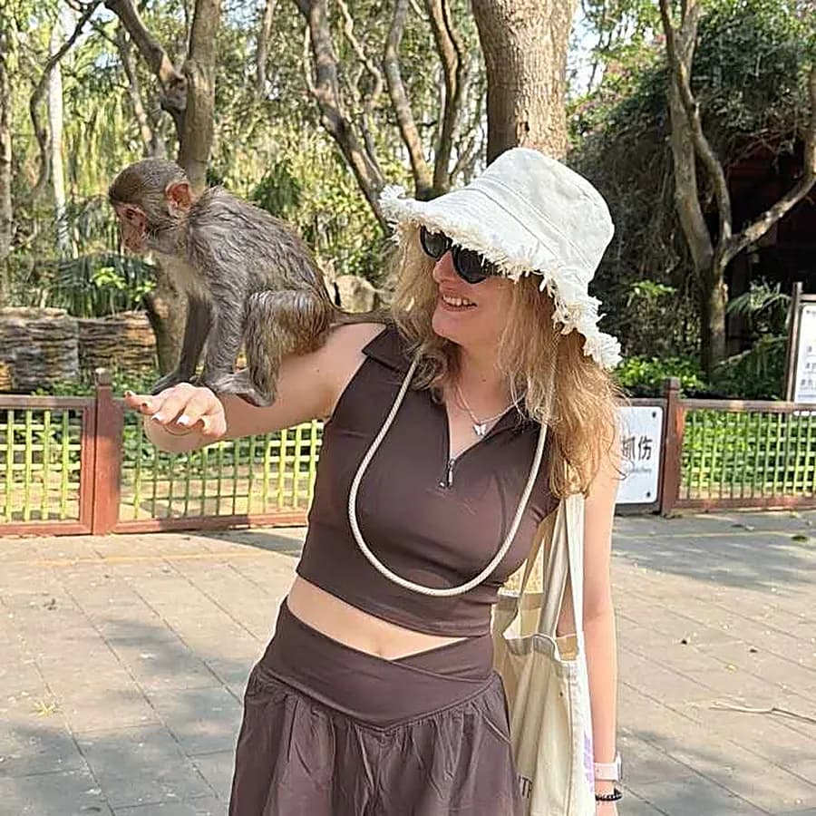 The island macaques
