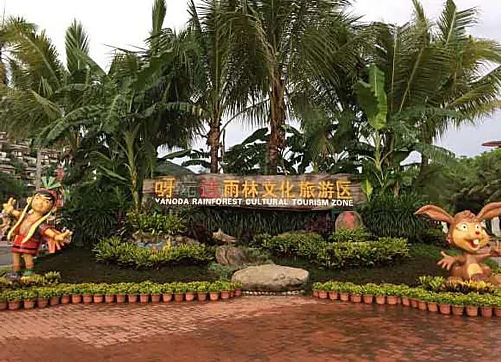 Bamboo trails